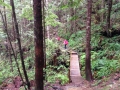 Boardwalks