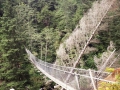 Hängebrücke